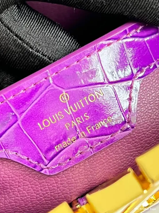 AAA Pruses Bags LOUIS BB VUITTON CAPUCINES 0516